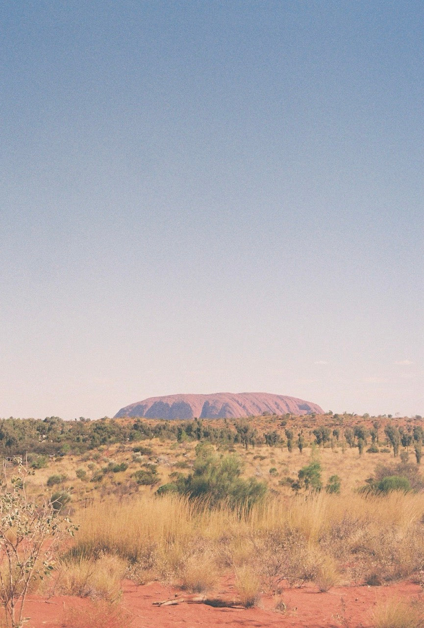 Film Gallery